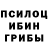 Галлюциногенные грибы Psilocybine cubensis DEN _BRO