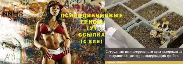MESCALINE Аркадак