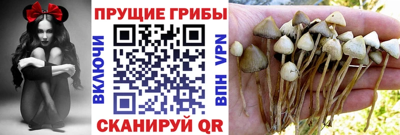 Псилоцибиновые грибы мицелий Удомля